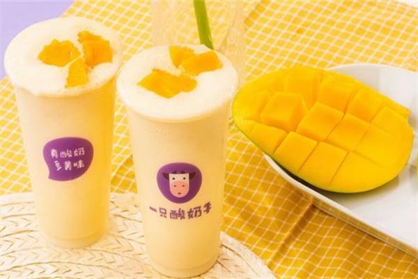 加盟一只酸奶牛奶茶代理挣钱吗？2021一只酸奶牛加盟费利润分析