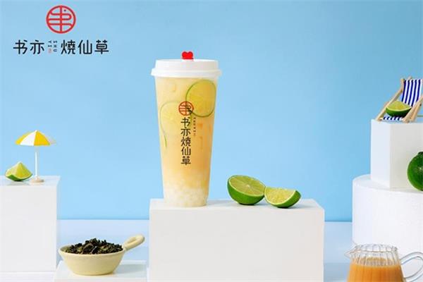 如何加盟一家奶茶店？店铺利润如何计算