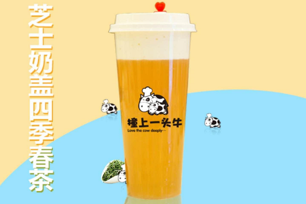 撞上一头牛加盟条件有哪些,撞上一头牛加盟电话