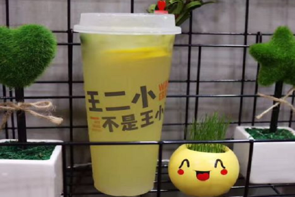 王二小奶茶加盟电话是多少,王二小奶茶加盟官方网站