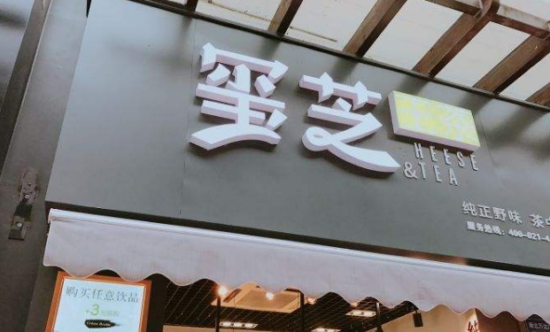 玺芝王茶投资流程是什么,玺芝王茶投资优势有哪些