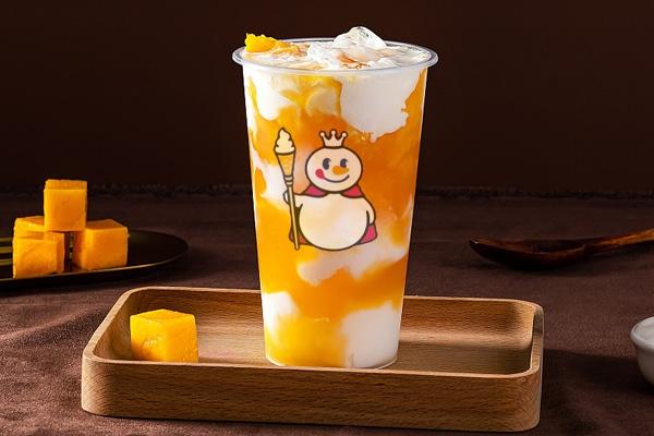 雪域冰城总投资成本需要多少预算成本/总代理总部能提供哪些政策