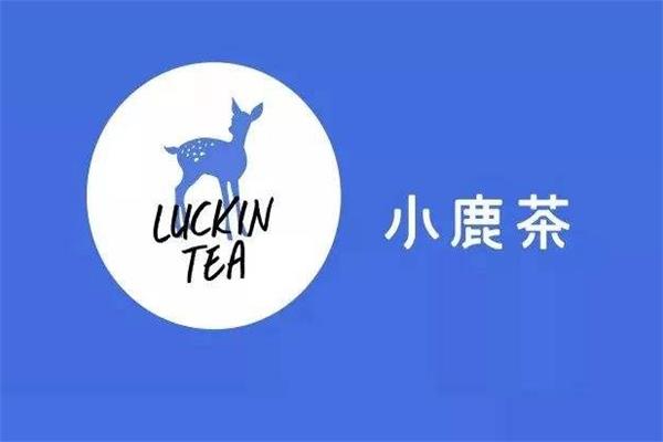 小鹿茶代理需要投入多少？地级城市总体投入10.18万起！