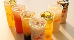 COCO奶茶创业官网是哪个,coco奶