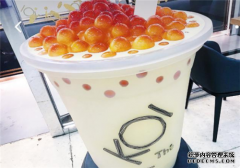 koi奶茶创业费是多少钱,koi奶茶创业有前途吗