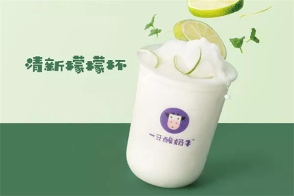 一只酸奶牛加盟