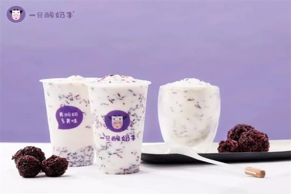 一只酸奶牛加盟费是一次性交吗?全国实体店图片
